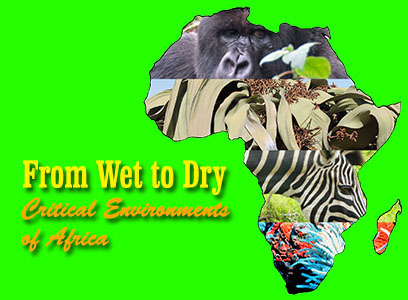African environments exhibit cover photo