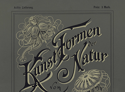 Magical naturalism