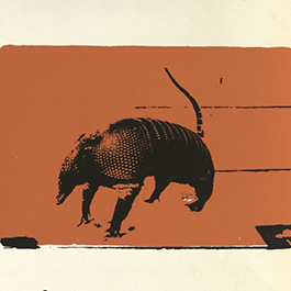 Ink drawing of an armadillo on an orange background