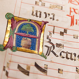 A closeup photos of an illuminated letter in a manuscript. 