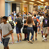 Students flooding the street of University Library during Wildcat Welcome