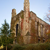 An external shot of Deering Library with foliage climbing the walls. 