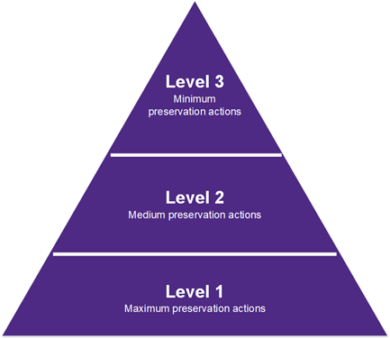 A triangle separated into three sections. The wide base is labeled Level 1: Maximum preservation actions. The middle section is labeled Level 2: Medium preservation actions. The small top section is labeled Level 3: Minimum preservation actions.