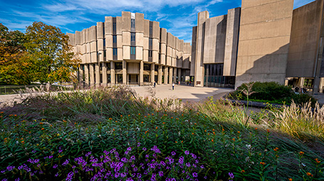 University Library