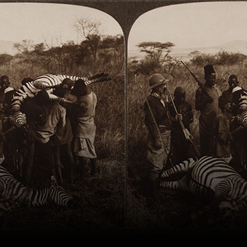 Winterton Photo Collection
